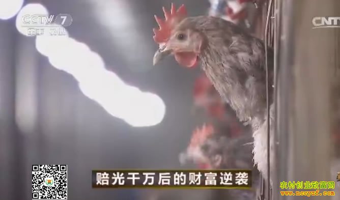 ��Ԫ�Ҽ�ͼƬ