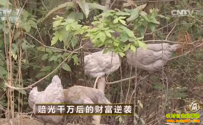 ��Ԫ�Ҽ�ͼƬ