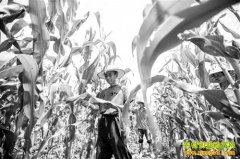 ����潭:������������Ч���