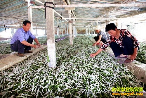 �����޳��޿����紴ҵ��ɣ�ϴ���Ⱥ�ڹ�ͬ�¸�