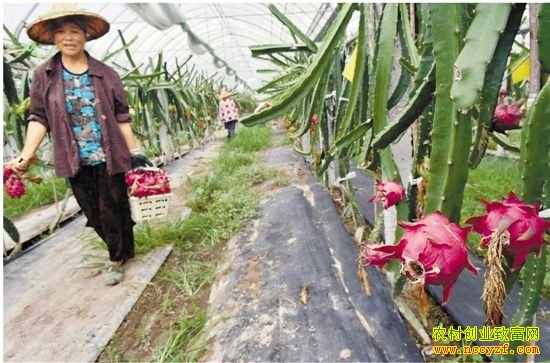 ��������κ�ջ���ֲ���Ļ����������¸���