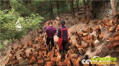 [�¸���]�Ĵ���Ԫ��־�Ϸ�����Ԫ�Ҽ��ĲƸ���Ϯ