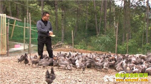 ���ǧ���ĲƸ���Ϯ