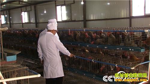 ���ǧ���ĲƸ���Ϯ