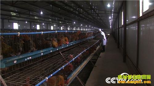 ���ǧ���ĲƸ���Ϯ