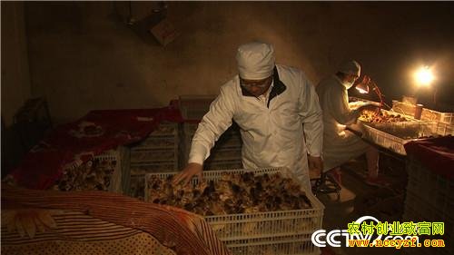 ���ǧ���ĲƸ���Ϯ