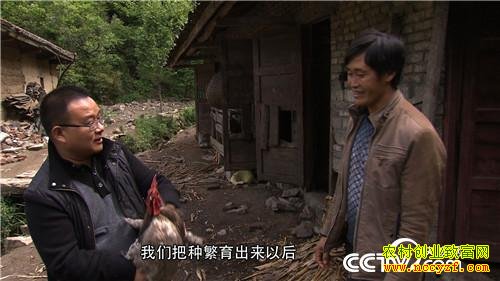 ���ǧ���ĲƸ���Ϯ