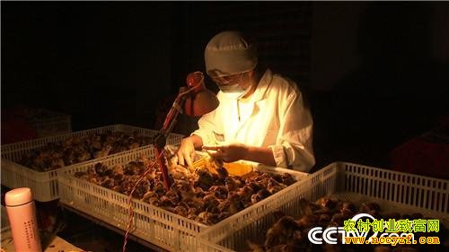 ���ǧ���ĲƸ���Ϯ