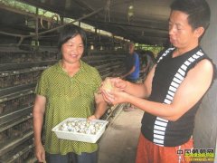 �ļ����������ȣ����÷���� ����������Ч��