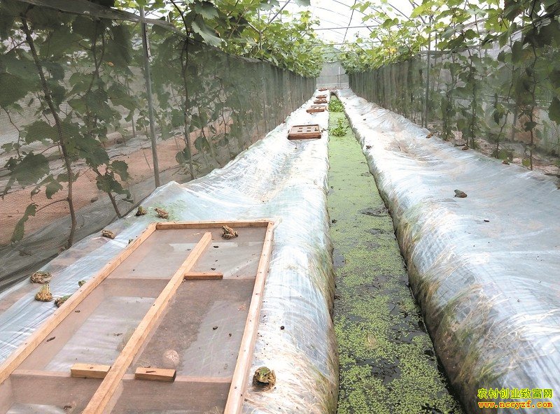 ������ֳ���������������Ѽ���������