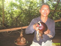 �Ĵ����ݹŰ���������Ұ�����Ŷ�