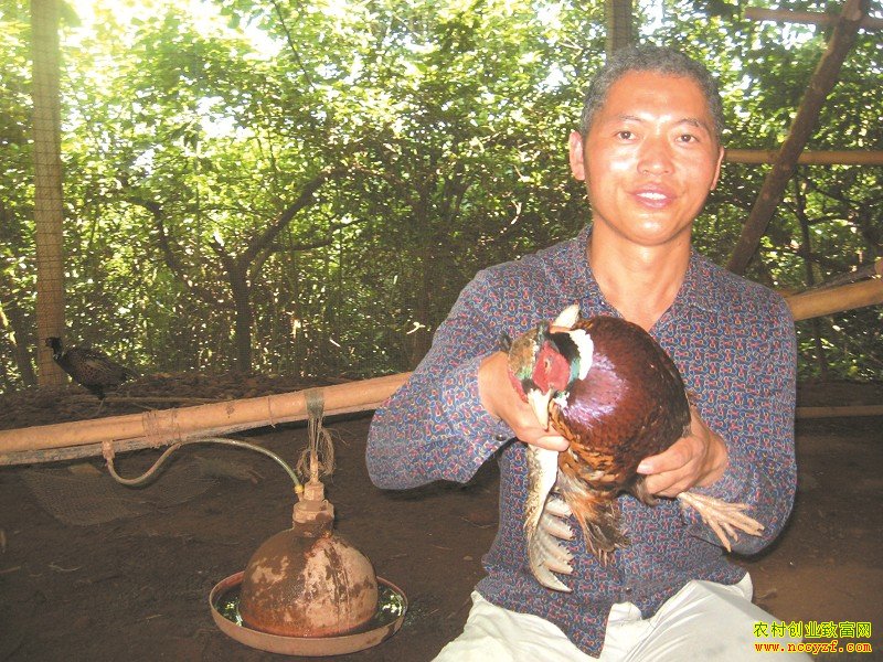 �Ĵ����ݹŰ���������Ұ�����Ŷ�