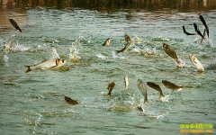 �Ĵ������������Ϻ����һ����׬Ǯ