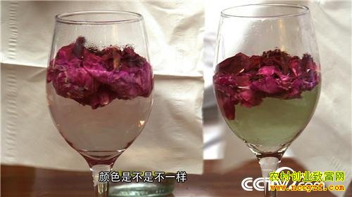 ���ز��̱������պ�ĲƸ�����