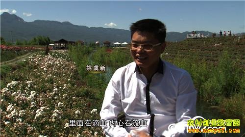 ���ز��̱������պ�ĲƸ�����