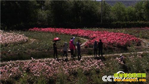 ���ز��̱������պ�ĲƸ�����