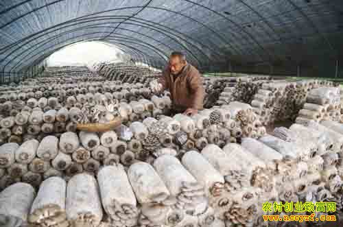 ��������������Ģ����ֲ��ũ����ƶ�¸�����Ŀ