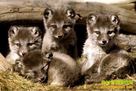 ������ֳ����:������������������