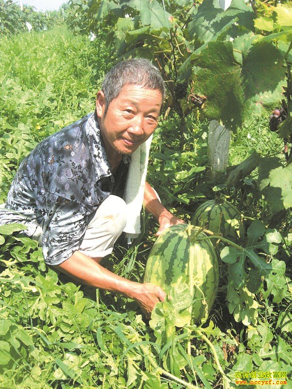 �Ĵ��������ڹ�����԰��������Ч���