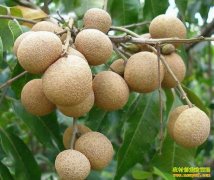 ���۴������� 2016��㶫���ۼ۸������������