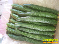 �ƹϼ۸��߻��� �ֻƹ�׬Ǯ��