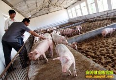 ��������ء��������ǡ�����ΰ�����¸�������һǧ����