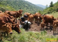 �Ĵ�������¡ѧ��ţ�¸���׬ʮ����