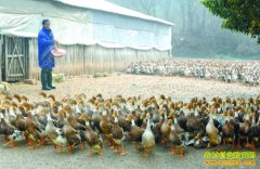 ���������ع��ٸ�20����Ѽ��ҵ����30��Ԫ