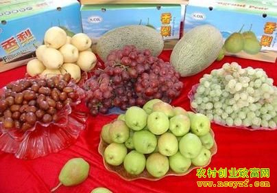 �½���ɳĮũ�硱������ũ��Ʒ��������7��Ԫ