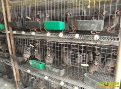 �½���̨��ѧ���ܽ���ֳ���Ұ����׬10����