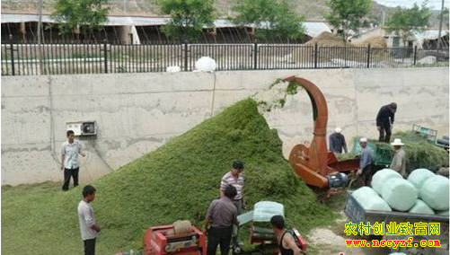 ɽ�����ع��鲨������ȫ���������׷���ι��Ч���