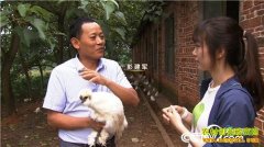 [�¸���]����̩����������ֳ̩���ڼ�����ǧ��Ԫ