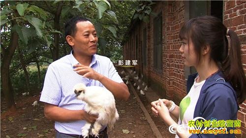 [�¸���]����̩����������ֳ̩���ڼ�����ǧ��Ԫ