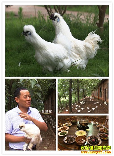 [�¸���]����̩����������ֳ̩���ڼ�����ǧ��Ԫ