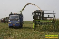 ɽ�����ع��鲨������ȫ���������׷���ι��Ч���