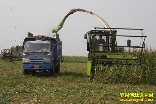 ɽ�����ع��鲨������ȫ���������׷���ι��Ч���