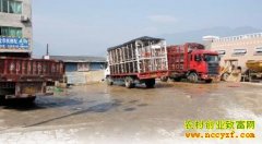 �ӱ���������ϼ��ϴ����ר��ϴ������׬20��