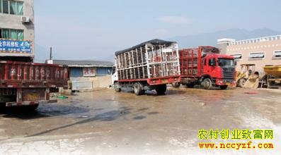 �ӱ���������ϼ��ϴ����ר��ϴ����