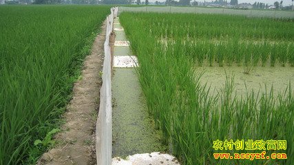 �㽭�����⴫�⵾��������Ķ��Ч��3��Ԫ