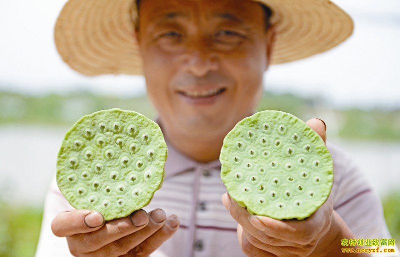 �����ϲ���̫�����ɹ��� ��ֲ̫����ǰ����