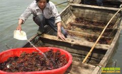 [ÿ��ũ��]��ֻ1�����ϵĺ��С��Ϻ���ù�