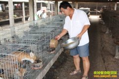 ʢ�������ֳ���Ӻͺ���