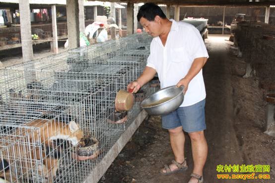 ʢ�������ֳ���Ӻͺ���