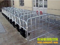 �ӱ����������޺�����ת�˳�׬��Ǯ