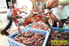 ����Ǳ������������3��������С��Ϻ70��Ԫ