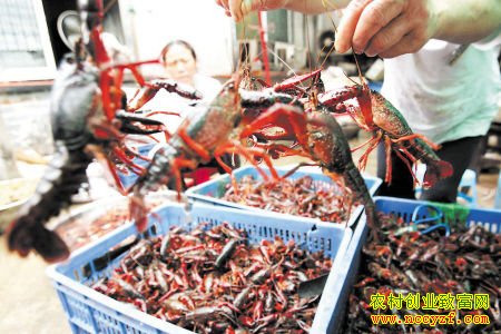 ����Ǳ������������3��������С��Ϻ70��Ԫ