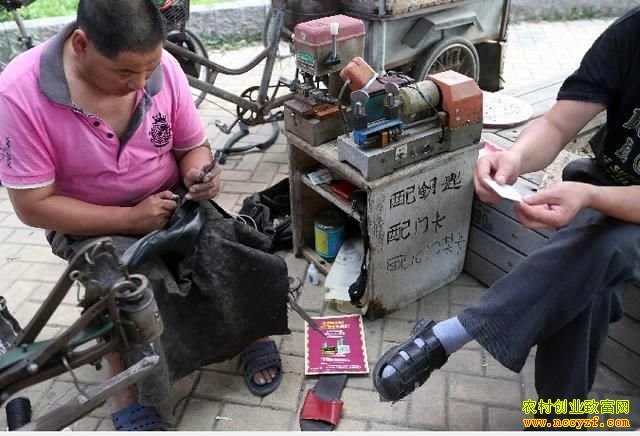 �ӱ����ؼ�˫ţ��Ь�����ÿ����׬3000��