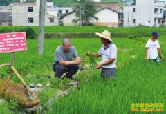 ����ƽ���������������һĶ��׬1000Ԫ