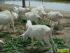 �������ҷ������괴ҵ��̬������¸�