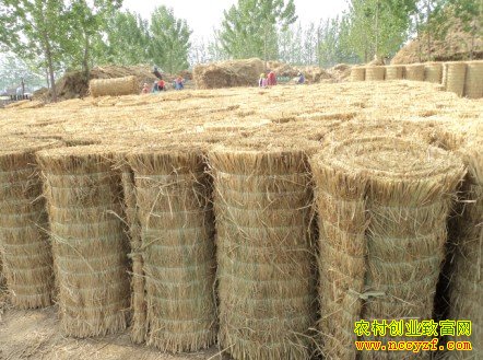 ����¡�أ����ݼӹ��������Ϊ������10����Ԫ